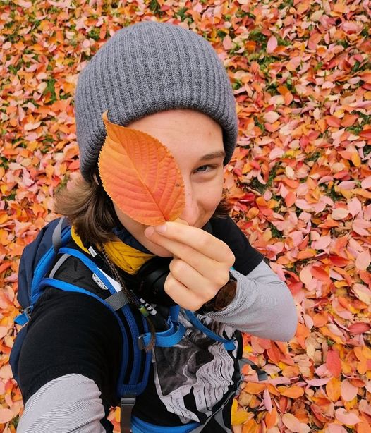 So bleiben Sie während der Feiertage sicher